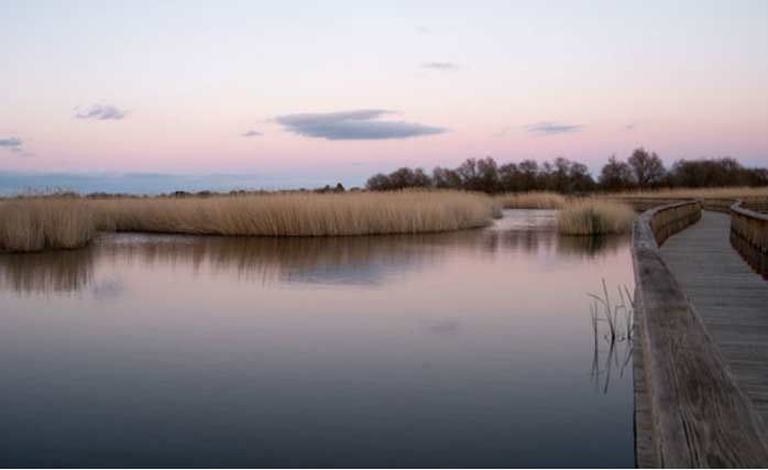 Las Tablas de Daimiel